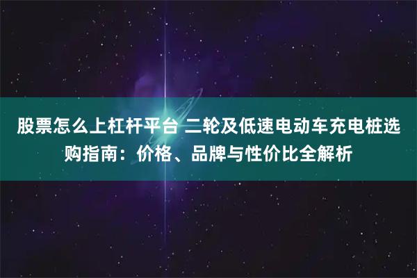 股票怎么上杠杆平台 二轮及低速电动车充电桩选购指南：价格、品牌与性价比全解析